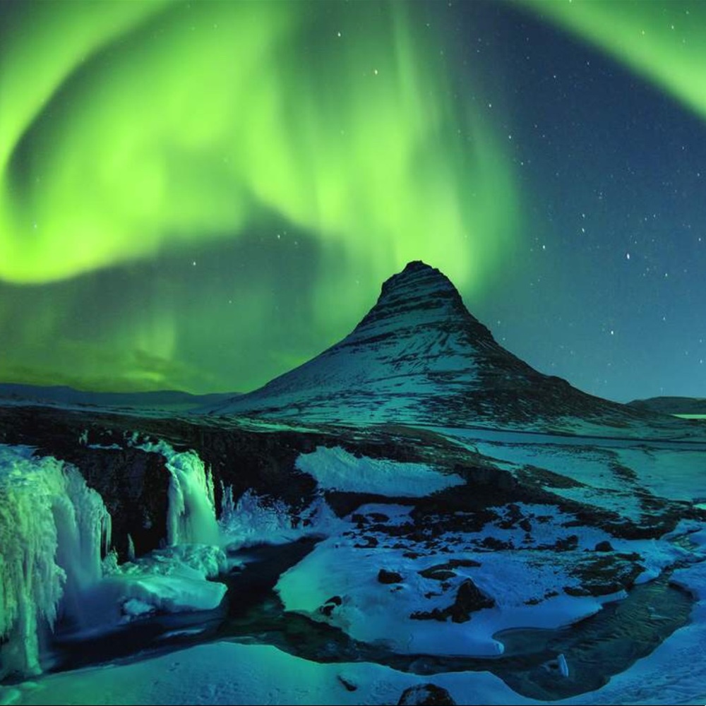 🌿 - Picture 5 of 5